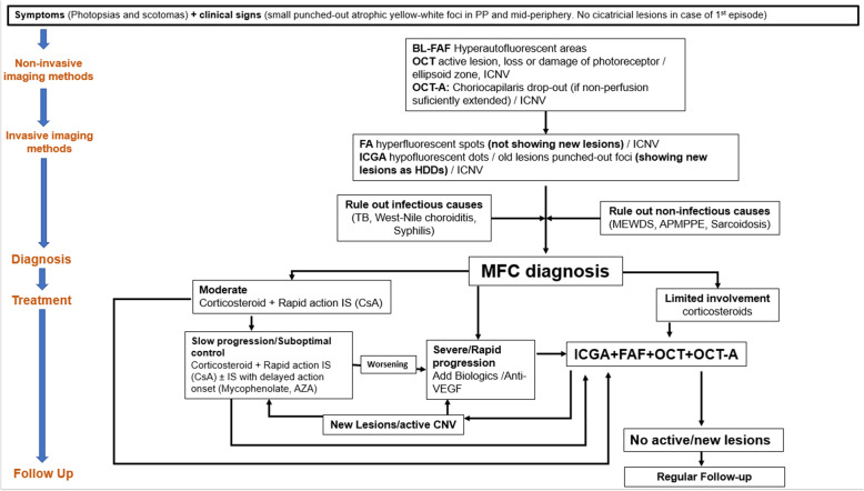 Fig. 13