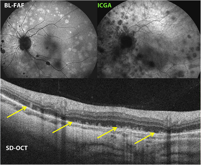 Fig. 5