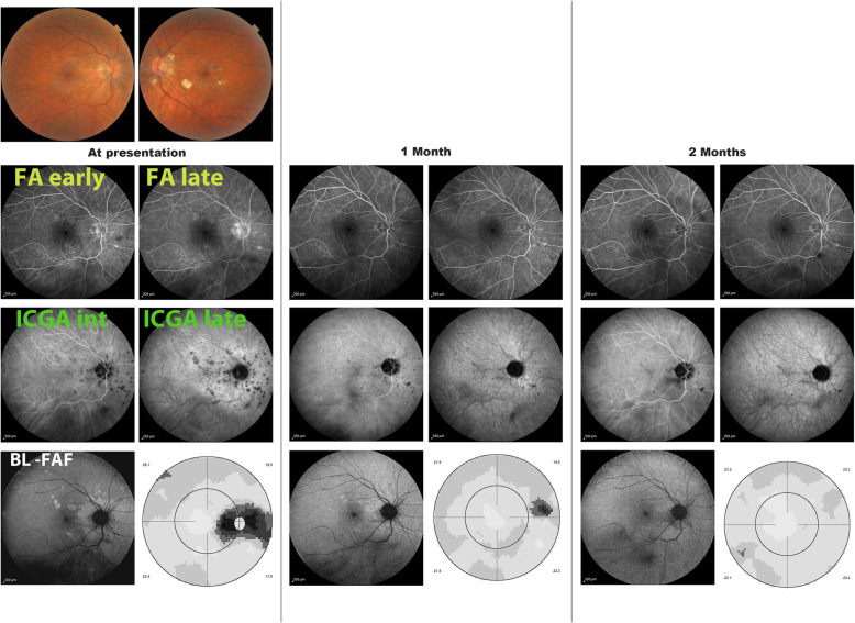 Fig. 10