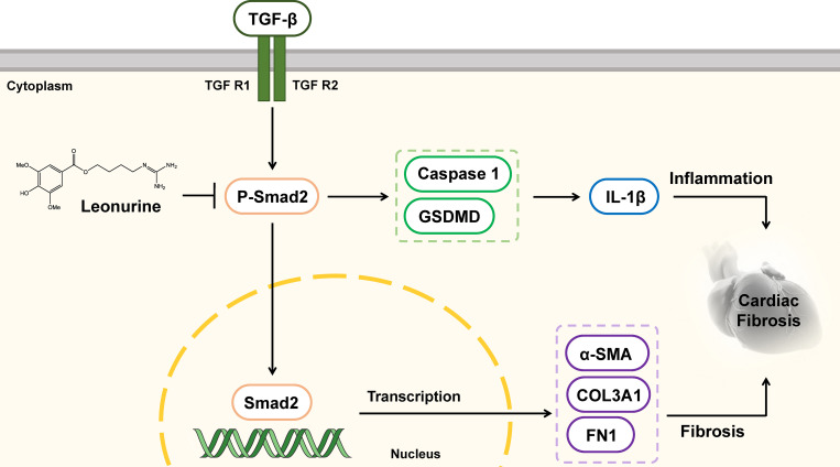 Fig 10