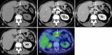 Fig. 7