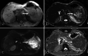 Fig. 4