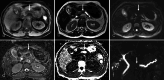 Fig. 6