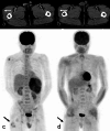 Fig. 10