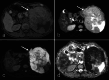 Fig. 8