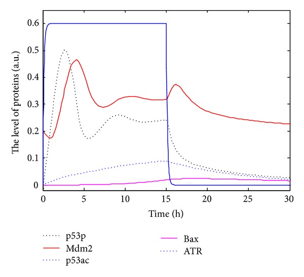 Figure 4