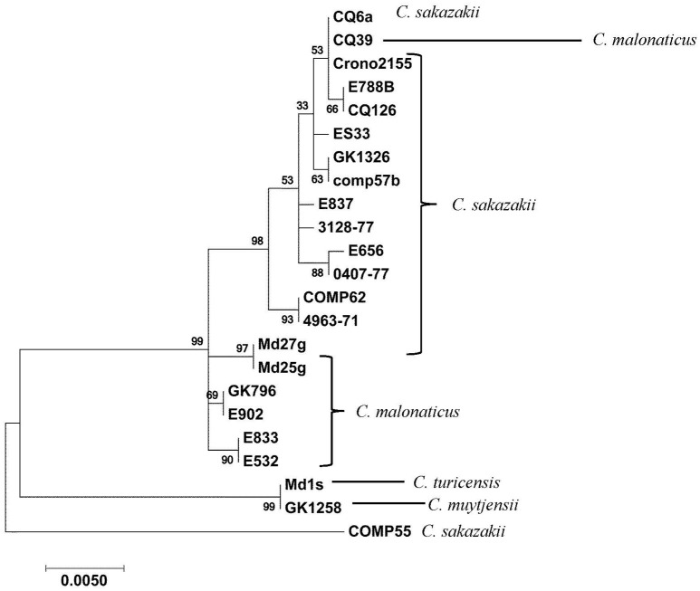 Figure 4