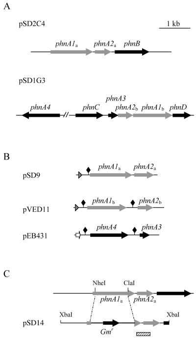 FIG. 3.