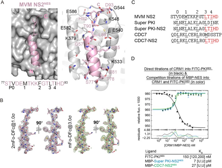 FIGURE 3: