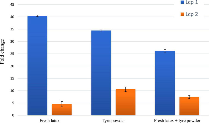 FIGURE 4