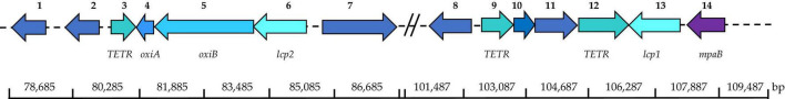 FIGURE 3