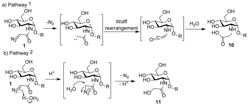 Scheme 2