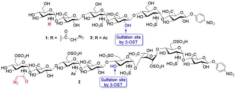 Fig 1