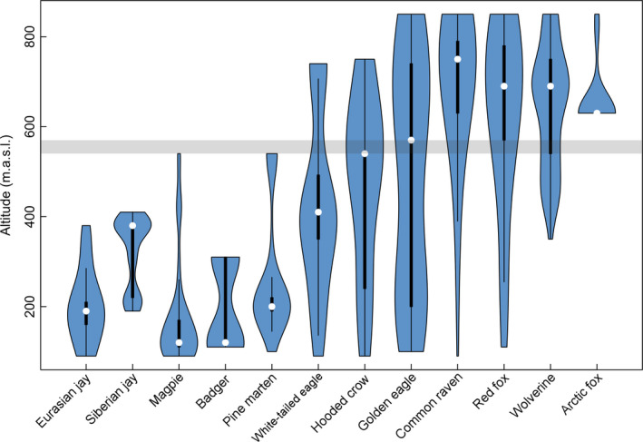 FIGURE 3