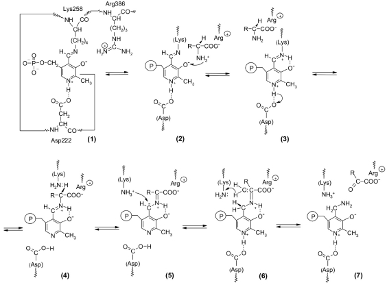 Fig. 1.