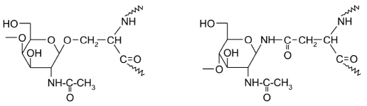 Fig. 13.