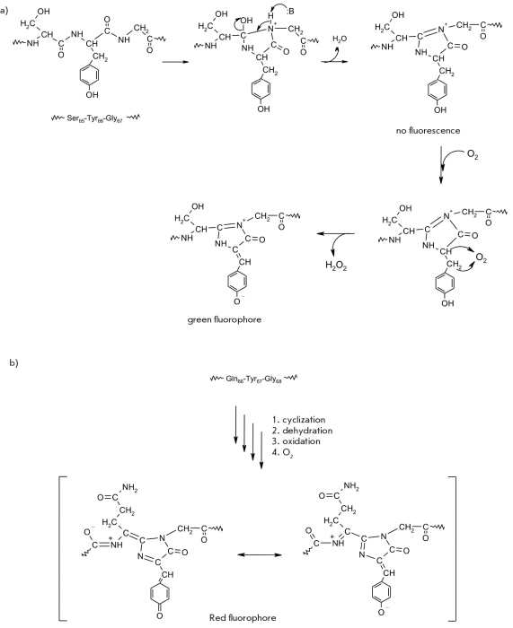 Fig. 27.