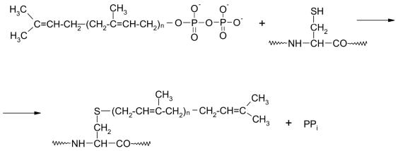 Fig. 11.