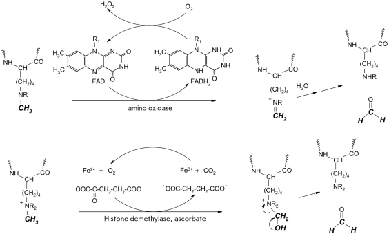 Fig. 9.