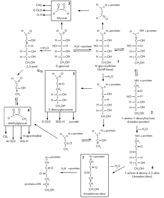 Fig. 25.