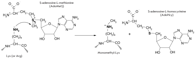 Fig. 8.