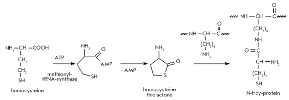 Fig. 28.