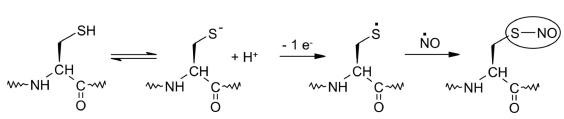 Fig. 21.