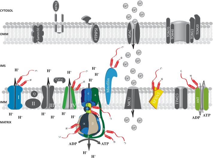 FIGURE 3