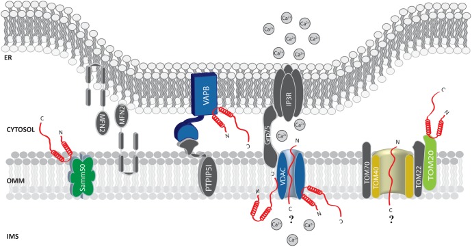 FIGURE 2