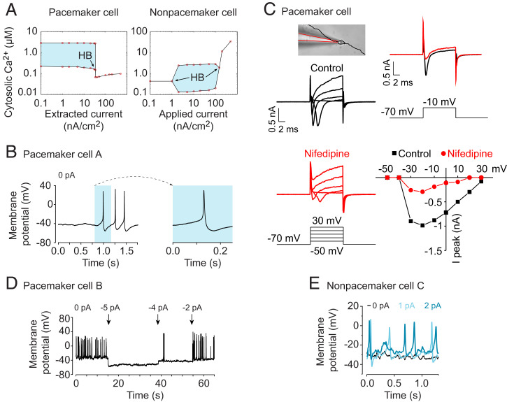 Fig. 4.