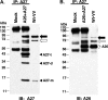 FIG. 8.