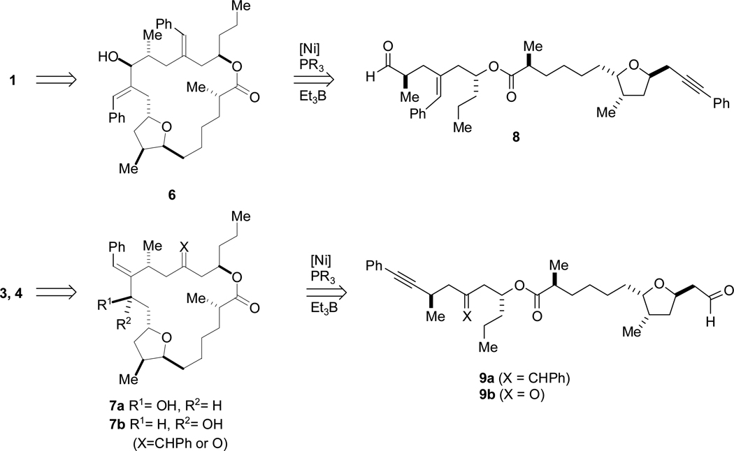 Scheme 2