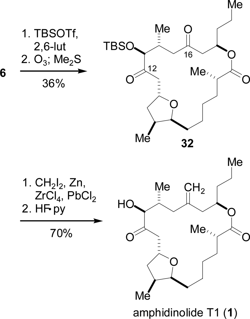 Scheme 13