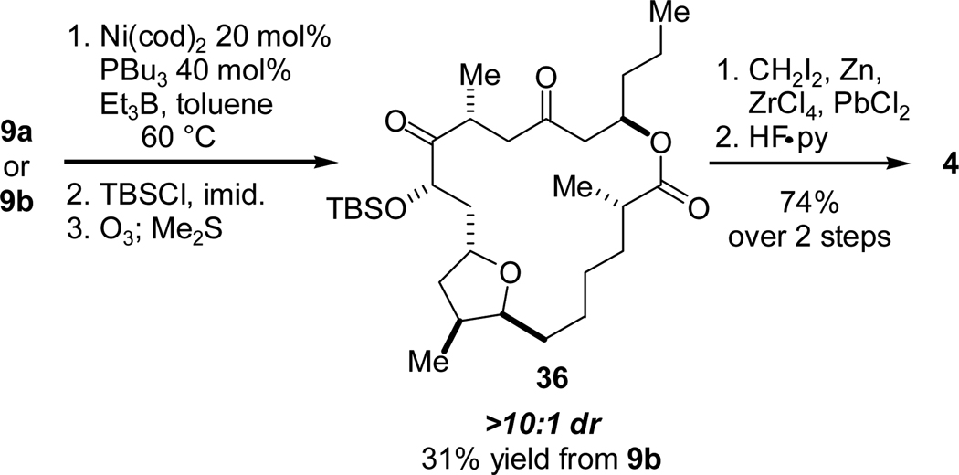 Scheme 17