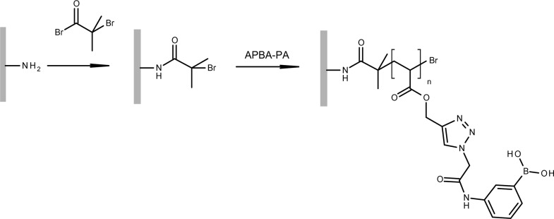 Scheme 2