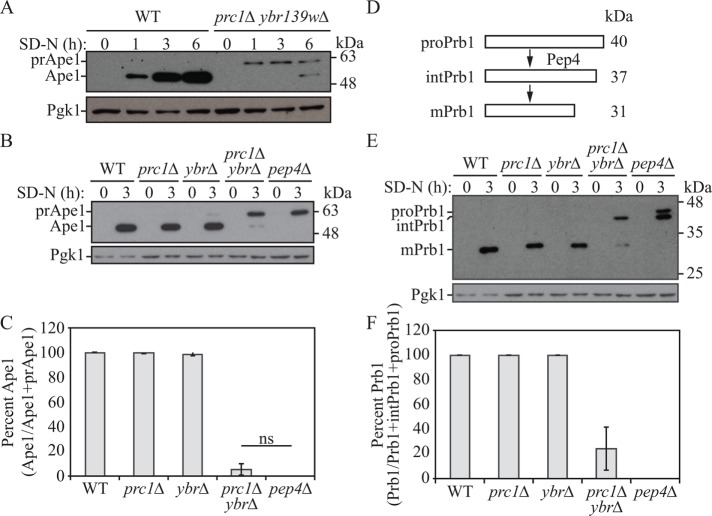 FIGURE 3: