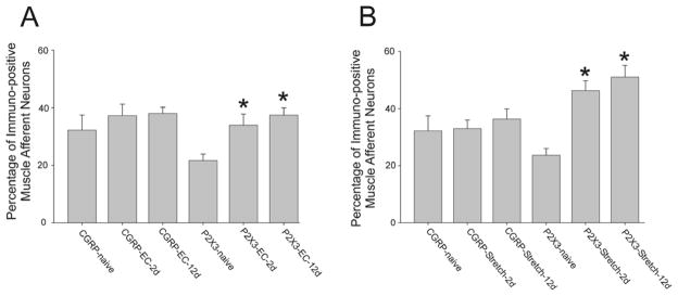 Fig 8