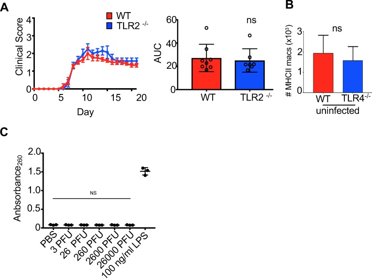 Figure 6—figure supplement 1.