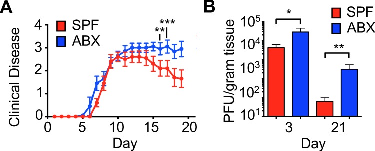 Figure 1—figure supplement 1.