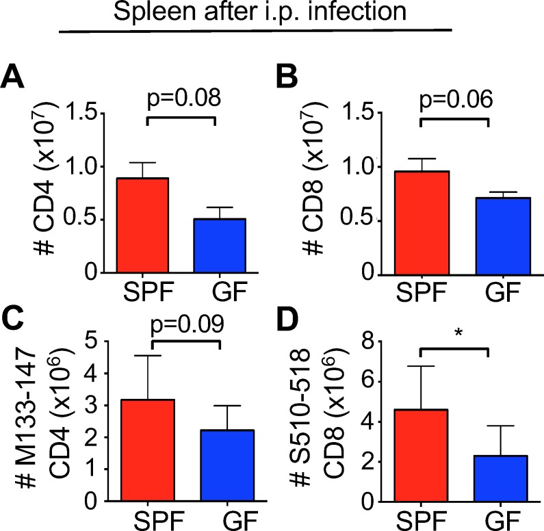 Figure 2—figure supplement 1.