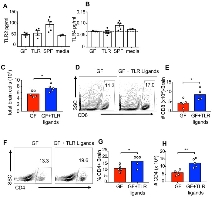 Figure 5—figure supplement 2.