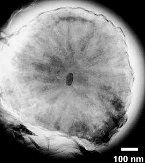 Fig. 5