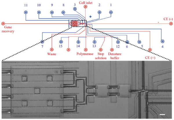 Fig. 3