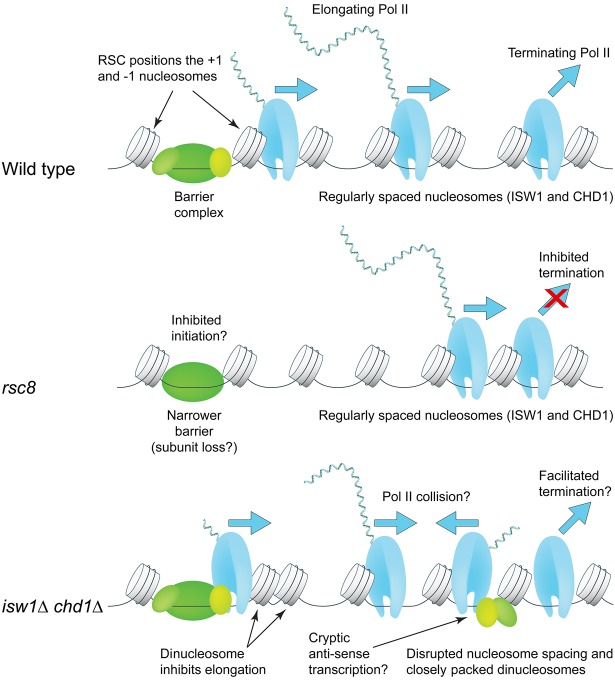 Figure 6.