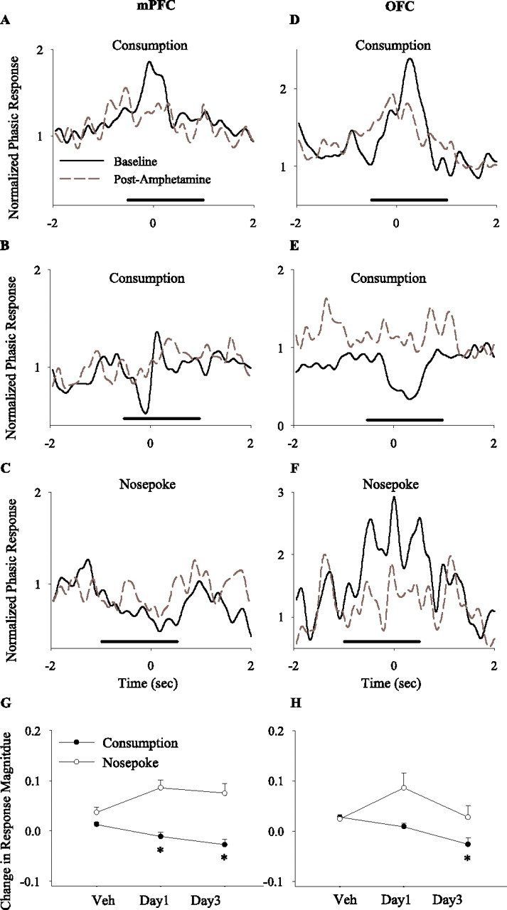 Figure 12.