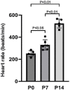 Figure 5—figure supplement 2.