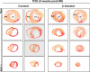 Figure 2—figure supplement 1.