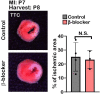 Figure 2—figure supplement 2.