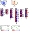 Figure 4—figure supplement 1.