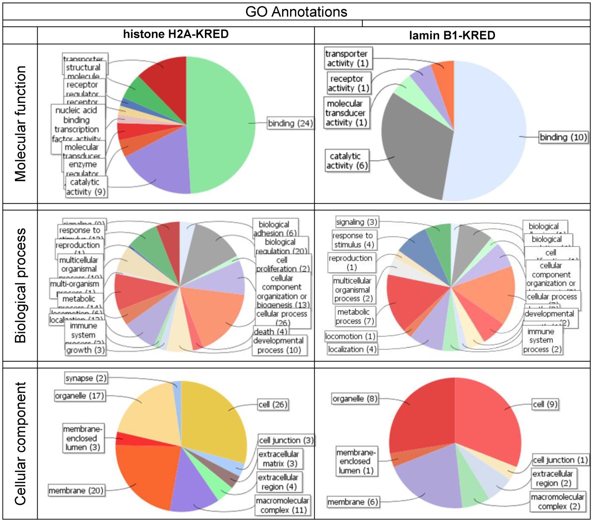 graphic file with name ijmsv10p1136g09.jpg